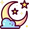 🌜