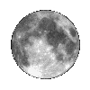 🌕