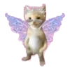 🌟