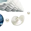 🌊
