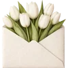 💌