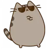 😎
