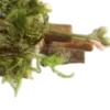 🪟