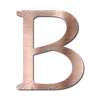 🩷