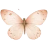 🦋