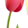 😀