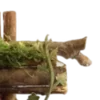 🪟