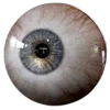 👁
