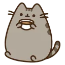 🐱