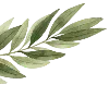🌿