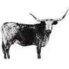 🐄