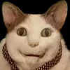 😼