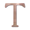 🩷