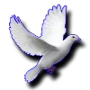 🕊
