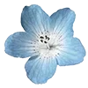 🌊