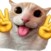 👅