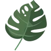 🌿