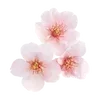 🌸