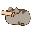 😼