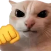 🐈
