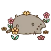 🌸