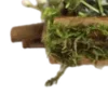 🪟