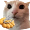 🐈