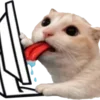 🐈