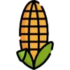 🌽