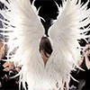 👼
