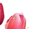 😀