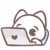 💻