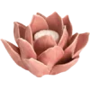 🪷
