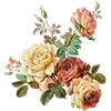 🌼