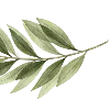 🌿