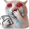🐈