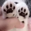 🐈‍⬛
