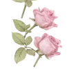 🌸
