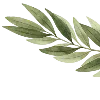🌿