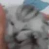 🥶