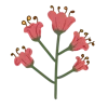 🌷