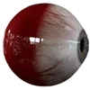 👁