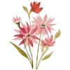 🌷