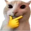 🐈
