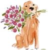 🐶