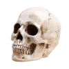 💀