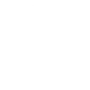 🌐