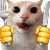 🐈