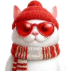 😼