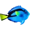 🌊